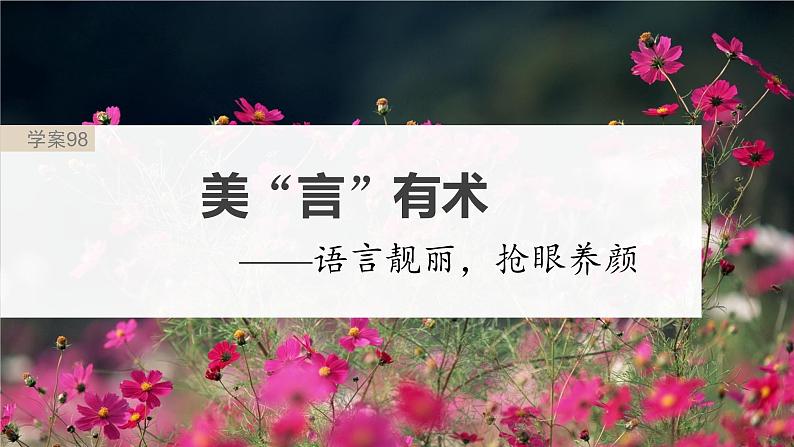 高考语文一轮复习--美“言”有术——语言靓丽，抢眼养颜（精品课件）02