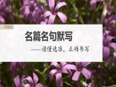 高考语文一轮复习--名篇名句默写 课时60　名篇名句默写——读懂选准，正确书写（精品课件）