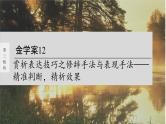高考语文一轮复习--赏析表达技巧之修辞手法与表现手法——精准判断，精析效果（精品课件）