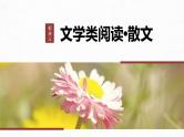 高考语文一轮复习--小说阅读 课时17　赏析技巧语言——精准判断，夸尽效果（精品课件）