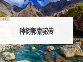 高考语文一轮复习--选择性必修下冊(二)　单篇梳理　基础积累　课文5　种树郭橐驼传（精品课件）