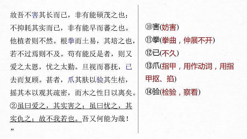 高考语文一轮复习--选择性必修下冊(二)　单篇梳理　基础积累　课文5　种树郭橐驼传（精品课件）08