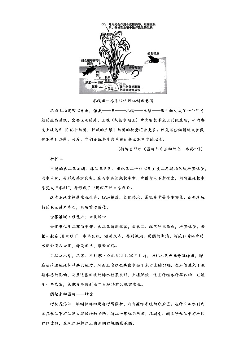 河北省部分高中2022-2023学年高三下学期第三次模拟检测语文试题（含解析）02
