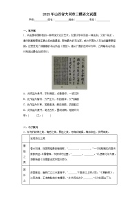 2023年山西省大同市三模语文试题（含解析）