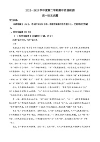 甘肃省甘南州卓尼县柳林中学2022-2023学年高一下学期期中语文试题（解析版）