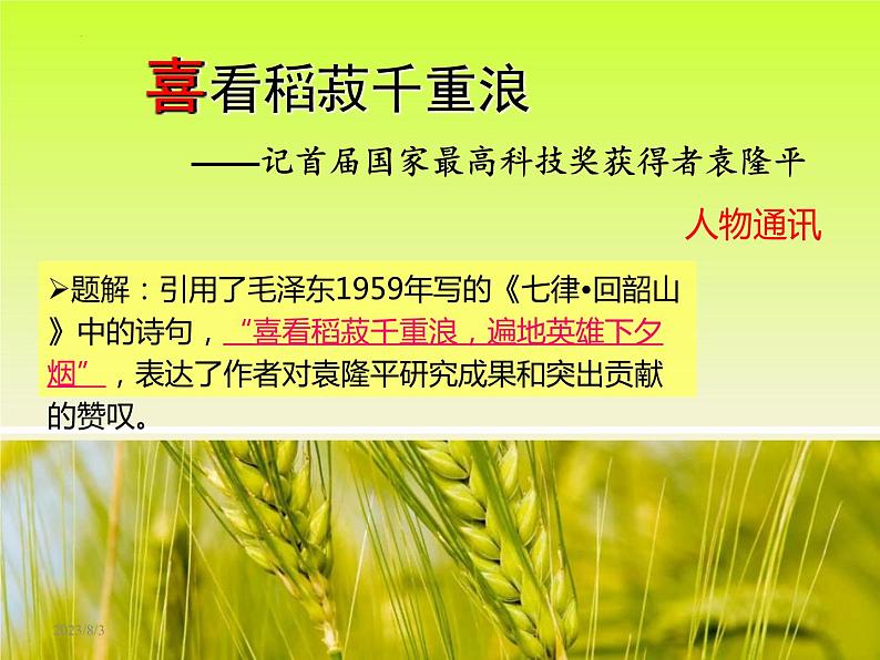 《喜看稻菽千重浪》课件+2022-2023学年统编版高中语文必修上册第3页