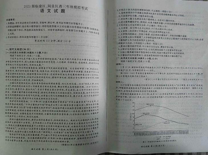 2023届陕西省临潼区、阎良区高三高考模拟考试 语文01