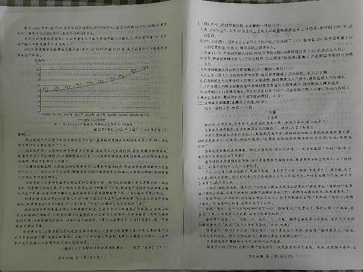 2023届陕西省临潼区、阎良区高三高考模拟考试 语文02