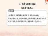 新教材2023高中语文第六单元第13课林教头风雪山神庙装在套子里的人课件部编版必修下册