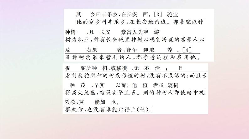 新教材2023高中语文第三单元第11课种树郭橐驼传课件部编版选择性必修下册08