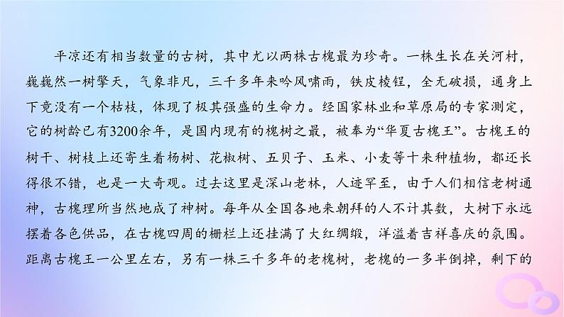 广东专用2024版高考语文大一轮总复习第一部分现代文阅读专题三走向审美鉴赏的文学类文本阅读_散文专题集训11课件第4页