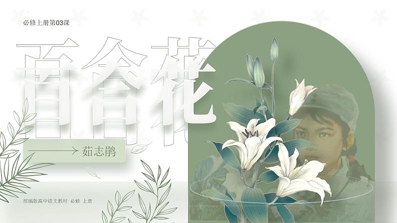 《百合花》课件2022-2023学年统编版高中语文必修上册第2页