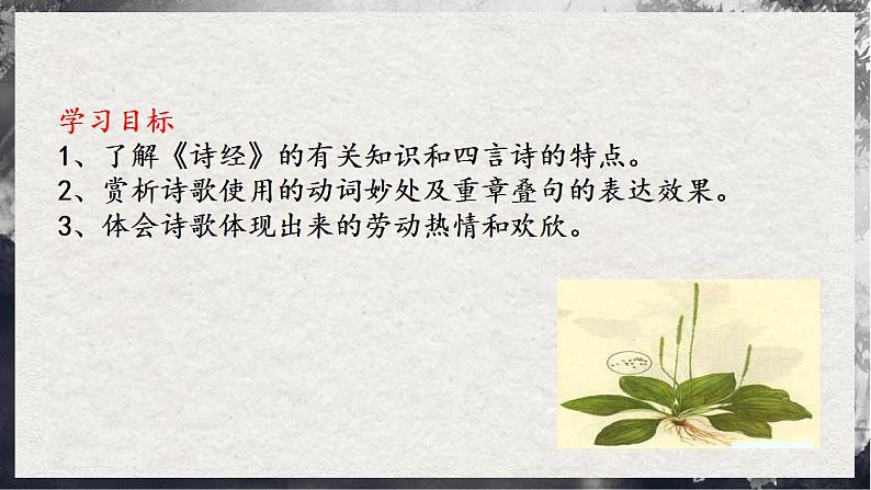 【统编版】语文必修上册   6.1《芣苢》（课件+分层练习）03