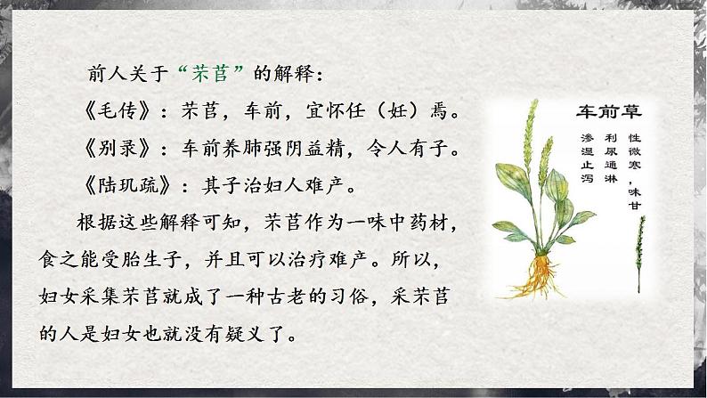 【统编版】语文必修上册   6.1《芣苢》（课件+分层练习）05