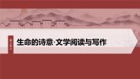 高中语文人教统编版必修 上册8.3* 琵琶行并序教案配套ppt课件