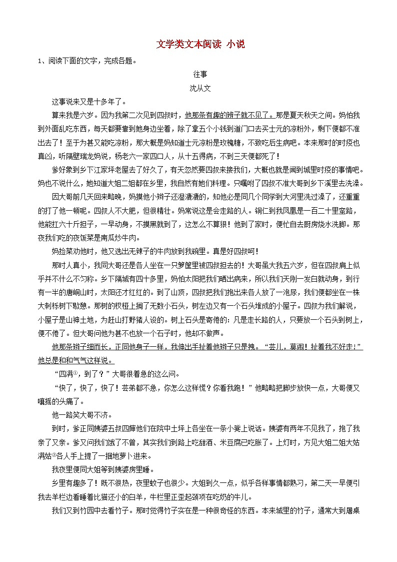 高考语文二轮复习易错点特训11文学类文本阅读小说 含解析第1页