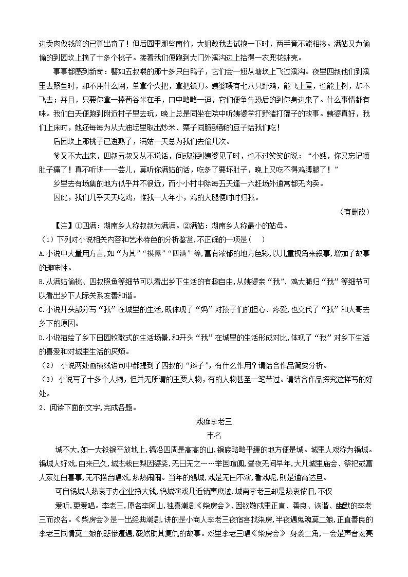 高考语文二轮复习易错点特训11文学类文本阅读小说 含解析第2页