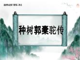 高二语文部编版选择性必修下册第11课《种树郭橐驼传》课件PPT