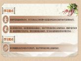 高二语文部编版选择性必修下册第9课《陈情表》《项脊轩志》课件PPT