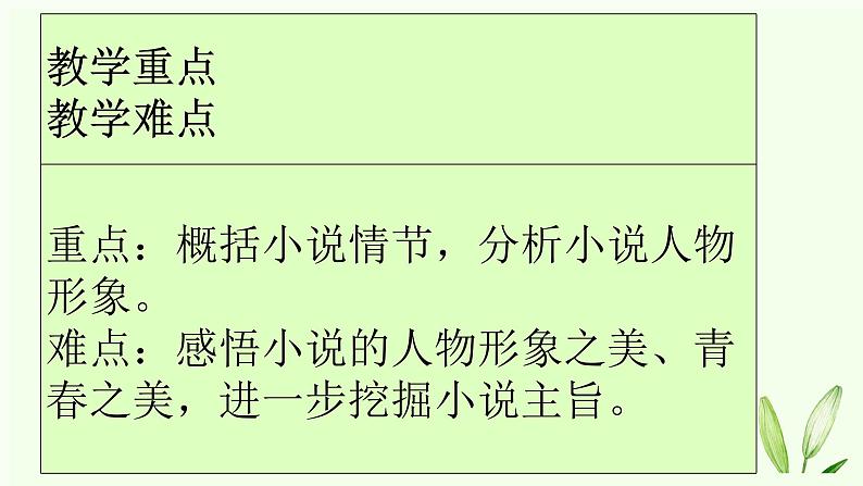 3.1《百合花》课件 2023-2024学年统编版高中语文必修上册第5页