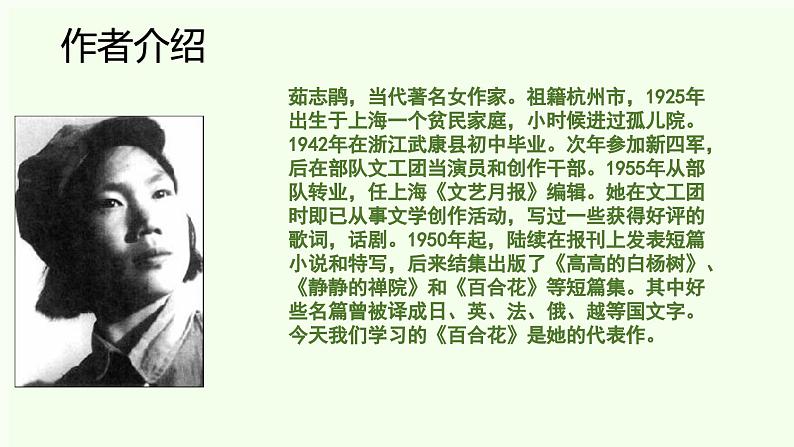 3.1《百合花》课件 2023-2024学年统编版高中语文必修上册第7页