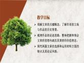 4.1修辭立其誠(chéng) 憐憫是人的天性（第1課時(shí)）課件PPT