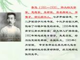 【中职专用】高中语文 人教版  基础模块上册  14《药》课件4