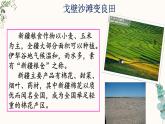 【中职专用】高中语文  语文版·基础模块上册  七  《新疆的歌》（教学课件）