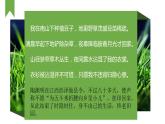 【中职专用】高中语文  语文版·基础模块上册  第一课《菜园小记》（教学课件）