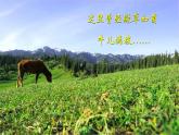 【中职专用】高中语文  语文版·基础模块上册  第三课  《幽径悲剧》（教学课件）