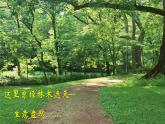 【中职专用】高中语文  语文版·基础模块上册  第三课  《幽径悲剧》（教学课件）