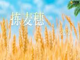 【中职专用】高中语文  语文版·基础模块上册  第四课  《拣麦穗》（教学课件）