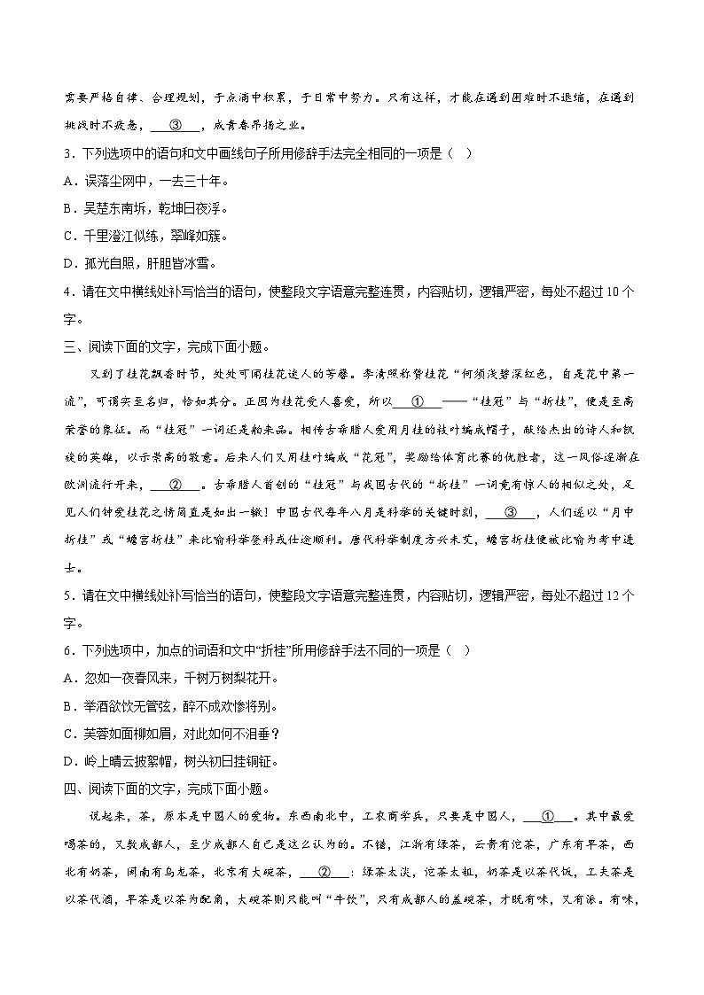 02 修辞-备战2023年高考语文二轮高频考点强化训练（试卷版）（通用版）第2页