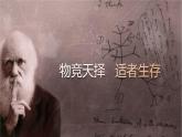 自然选择的证明（第一课时）课件PPT