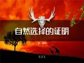 自然选择的证明（第一课时）课件PPT