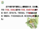 人教统编版高中语文选择性必修 选修上册 第二单元6.2 五石之瓠 同步教学课件+练习