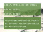 人教统编版高中语文必修上册第二单元 6《芣苢》《插秧歌》同步教学课件+练习