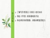 人教统编版高中语文必修上册第二单元 6《芣苢》《插秧歌》同步教学课件+练习