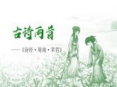 人教统编版高中语文必修上册第二单元 6《芣苢》《插秧歌》同步教学课件+练习