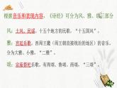 人教统编版高中语文必修上册第二单元 6《芣苢》《插秧歌》同步教学课件+练习