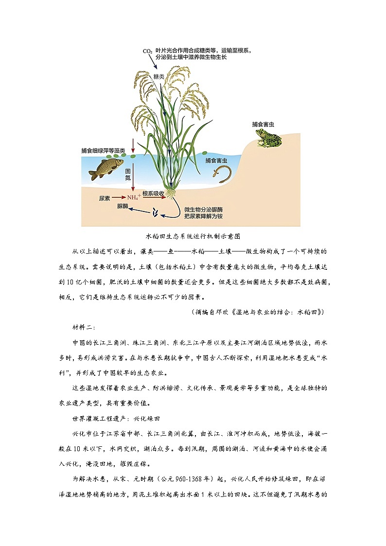 实用类文本阅读试题-高考语文新课标Ⅰ卷地区2023年模考试题汇编第2页