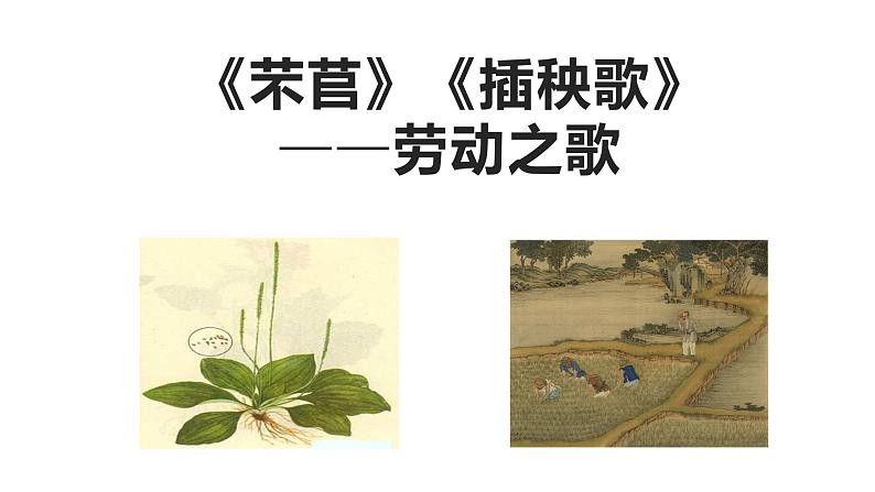 《芣苢》《插秧歌》群文课件部编版高中语文必修上册01