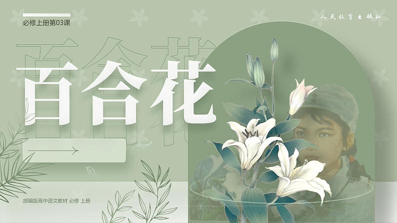 第3课《百合花》课件第1页