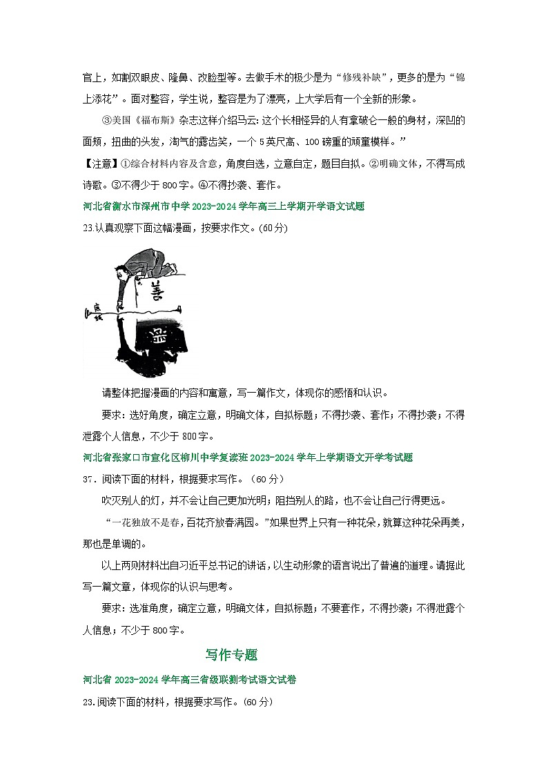 河北省部分地区2024届高三8月语文期初检测试卷汇编：写作专题第2页