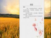 第06课《芣苢》《插秧歌》-高一语文上学期教学课件（统编版必修上册）