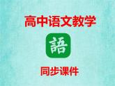 高中人教版课件模式二语文9记念刘和珍君