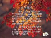 高中人教版课件模式二语文9记念刘和珍君
