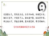 语文统编版必修上册6.1《芣苢》课件PPT
