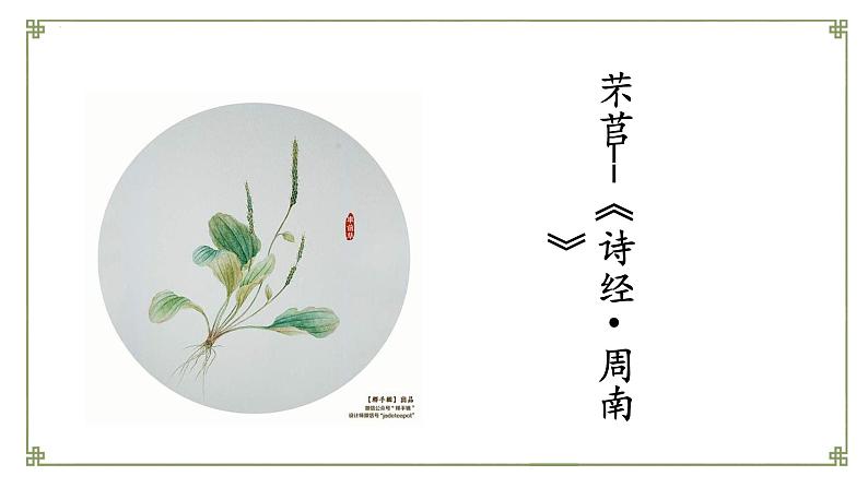 语文统编版必修上册6.1《芣苢》课件PPT02