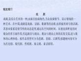 江苏专版2023_2024学年新教材高中语文第四单元12玩偶之家节选课件部编版选择性必修中册